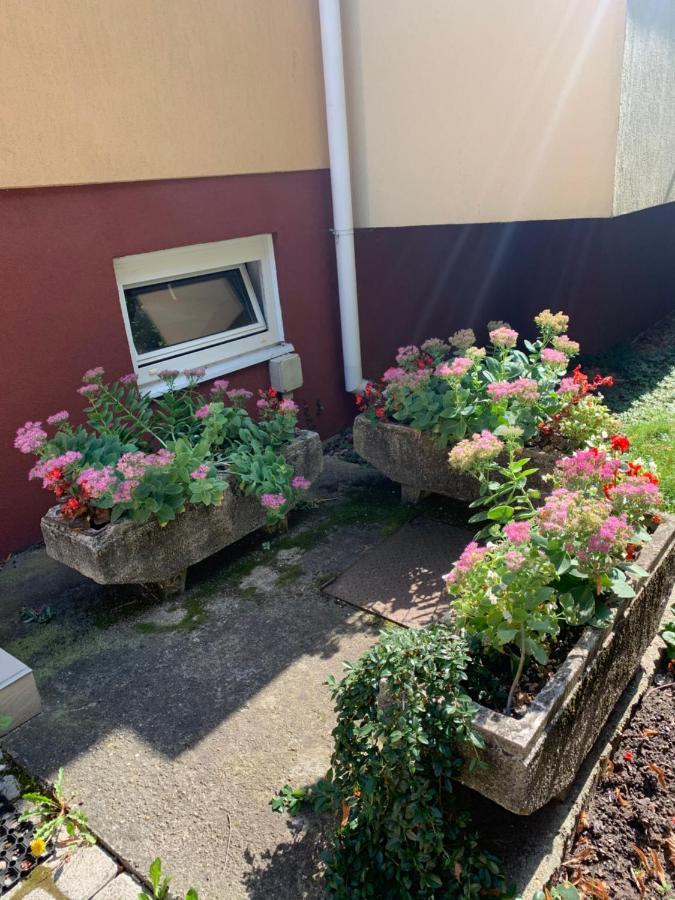 Konig Apartman Hévíz Εξωτερικό φωτογραφία